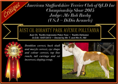 Class 5a ~ 3rd ~ Robanty Park Avenue Pollyanna.png